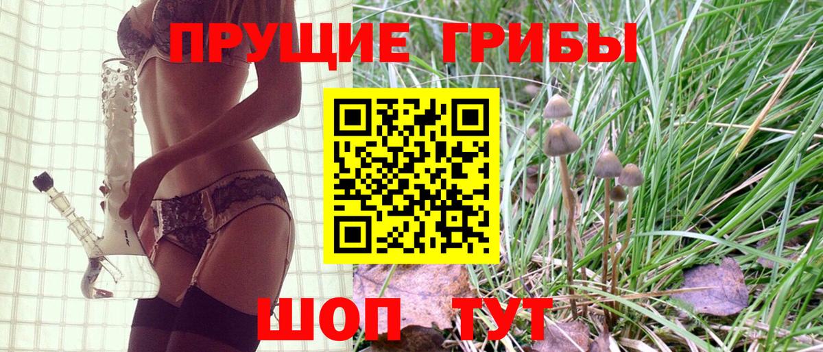 Юрга  Галлюциногенные грибы мицелий  Вход с VPN  Галлюциногенные грибы прущие грибы 