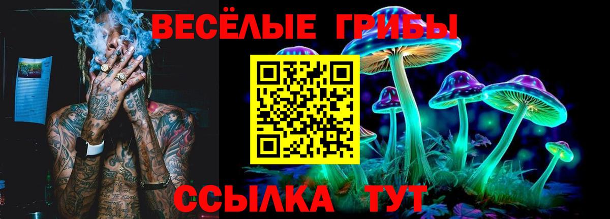 Псилоцибиновые грибы MAGIC MUSHROOMS Юрга